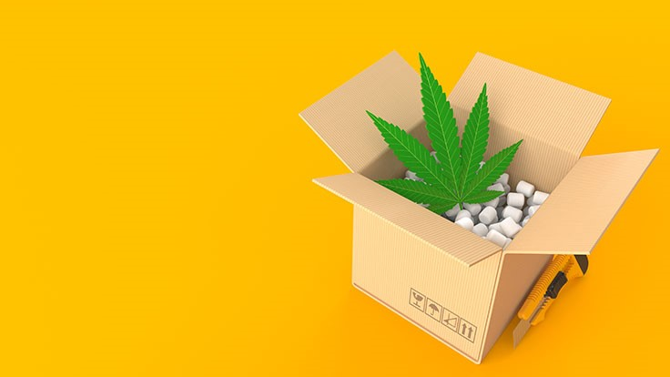 Essential Possibilities for the CBD Box Packaging: For Your Profit Only