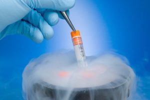 The History Behind Egg Freezing and Why It Continues to Grow Popular