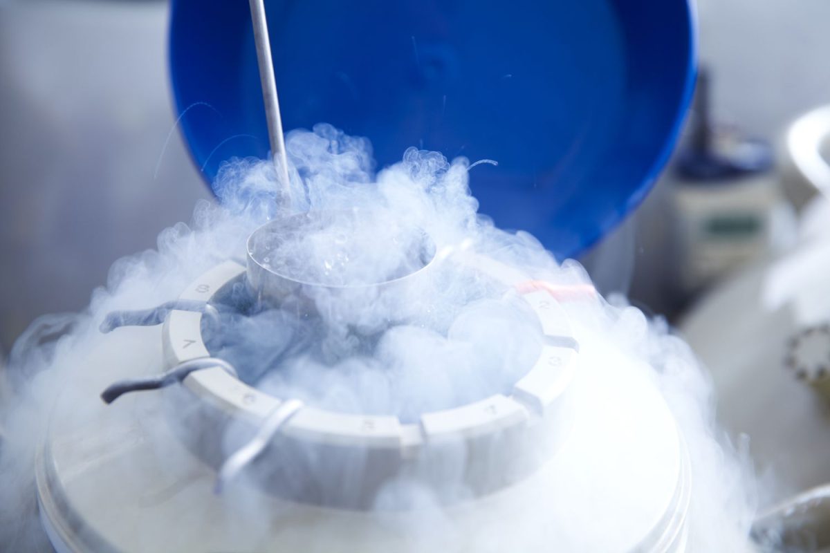 Facts You Should Know About Egg Freezing