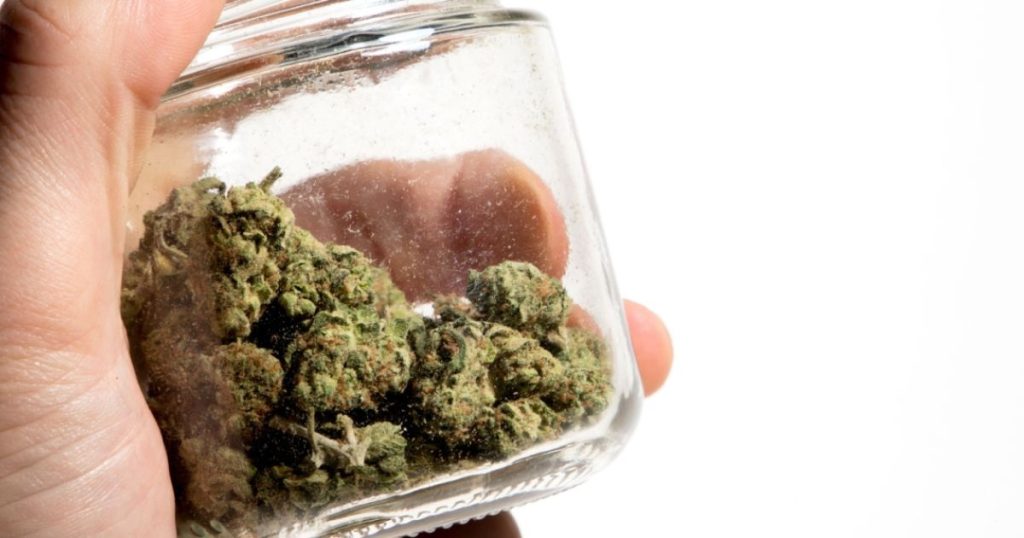 What are the different properties of data 8 weed?