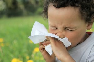 How Pediatricians Assist in Managing Childhood Allergies