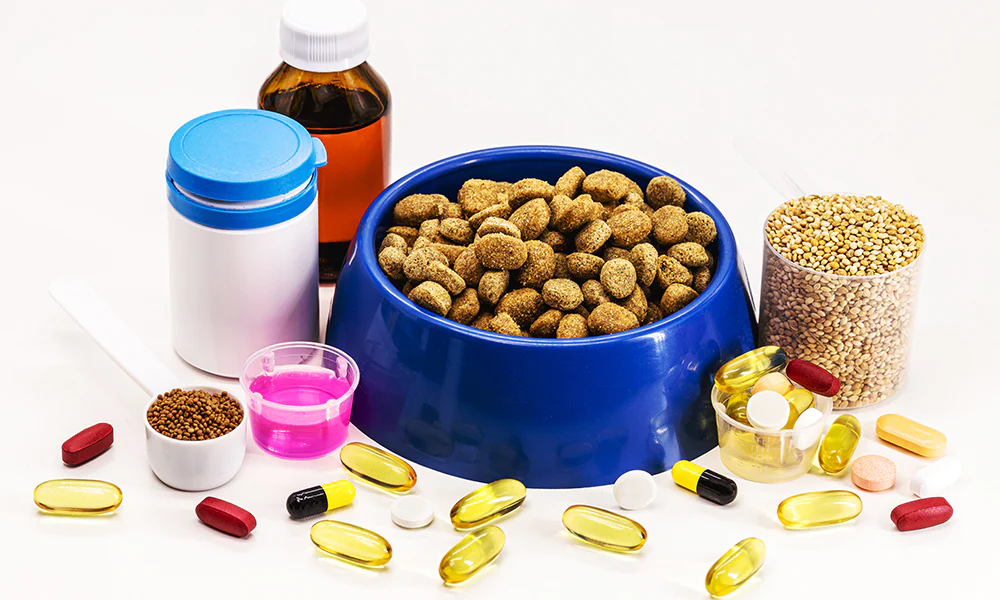 Supplements For Your Dog