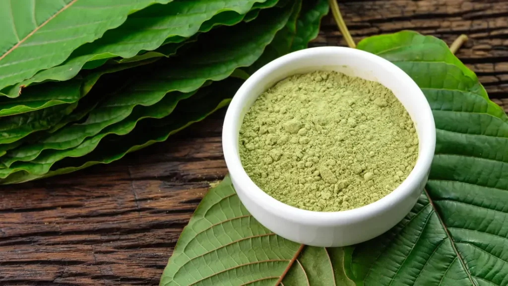 Kratom powder – How to use it safely?