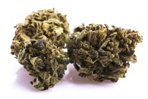 Why THCA flowers are gaining popularity among cannabis enthusiasts?